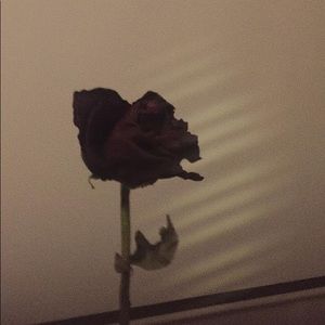 Meet your Posher, Keiosha